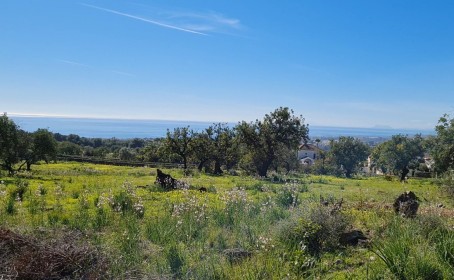 Terreno for sale in , Sierra Blanca
