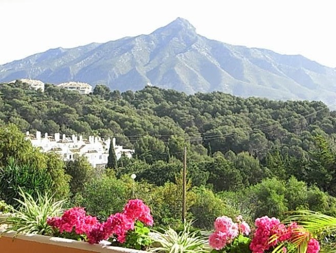 Unifamiliar for sale in Nueva Andalucía, Marbella