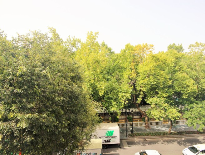 Apartamento for sale in Costa del Sol, Marbella