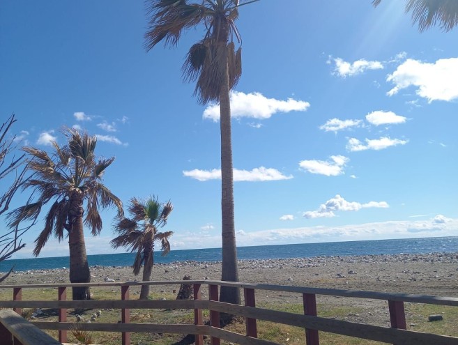 Apartamento for sale in Costa del Sol, Marbella