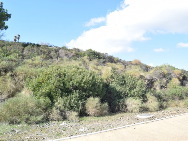 Terreno for sale in Elviria, Marbella