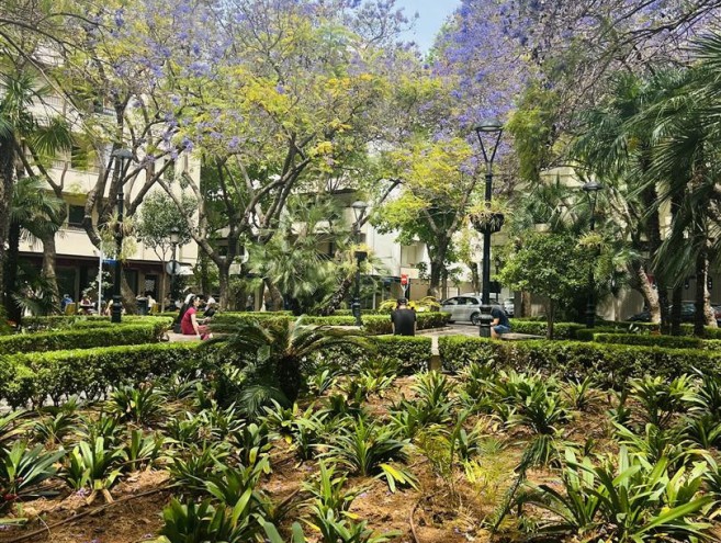 Comercial for sale in Costa del Sol, Marbella