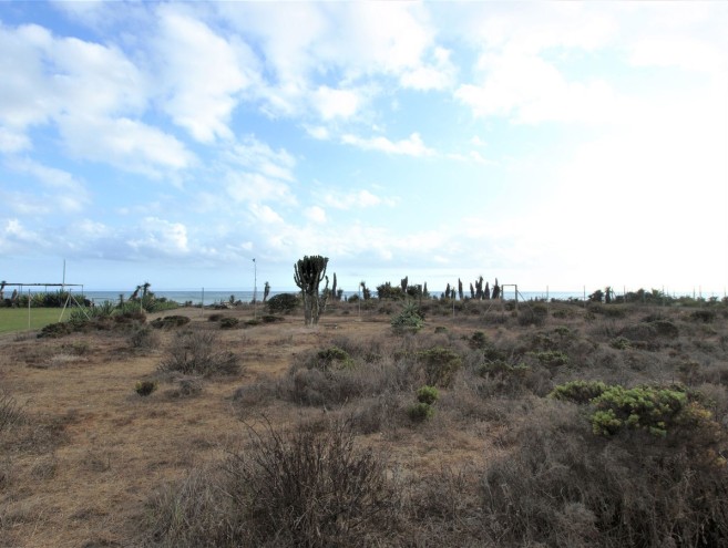 Terrain for sale in Guadalmina Baja, Marbella