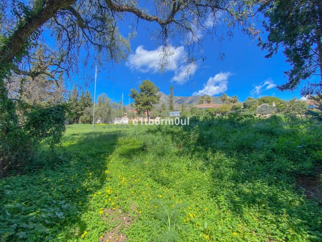 Terreno for sale in The Golden Mile, Marbella