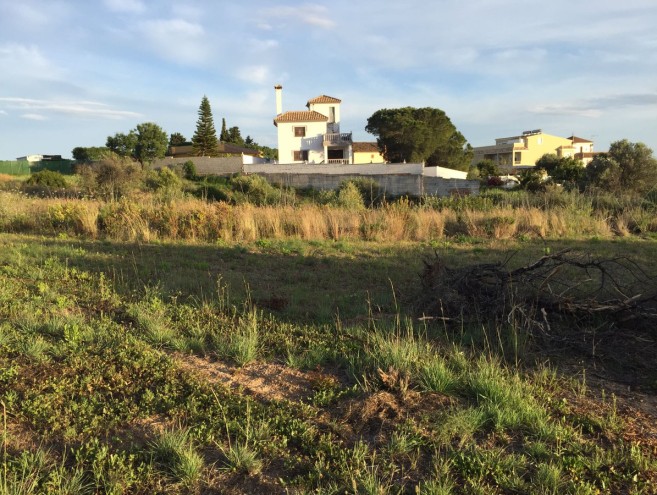 Terreno for sale in Costa del Sol, Marbella