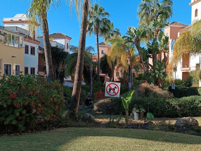 Apartamento for sale in Guadalmina Alta, Marbella