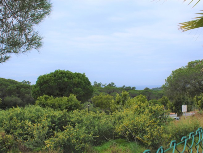 Terreno for sale in Elviria, Marbella