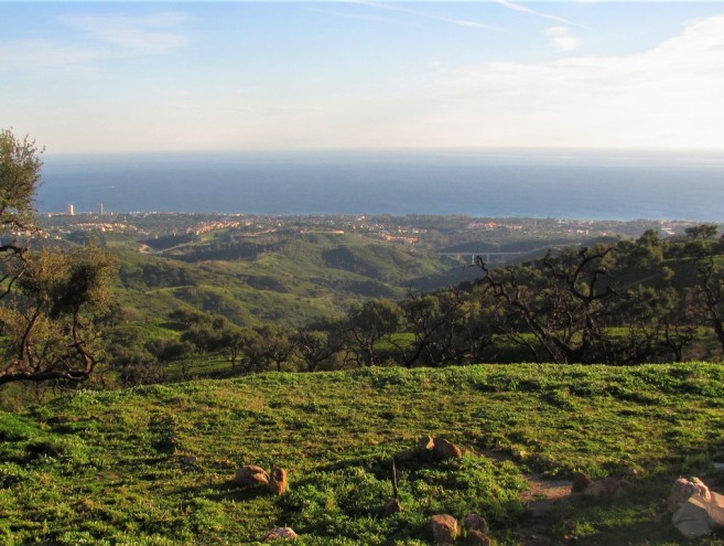 Terreno for sale in Costa del Sol, Marbella