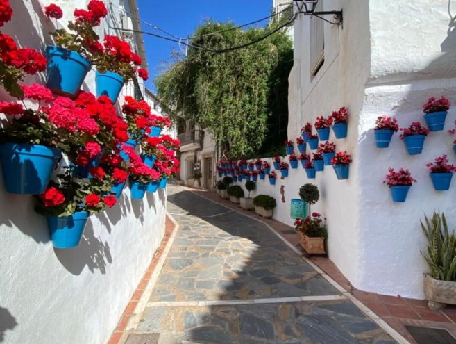 Villa for sale in Costa del Sol, Marbella