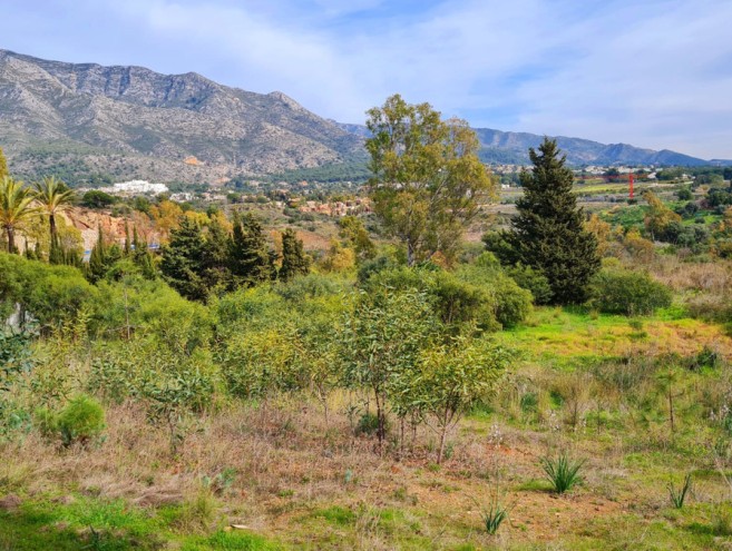 Terreno for sale in The Golden Mile, Marbella