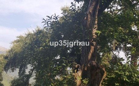 Terreno for sale in , Genalguacil