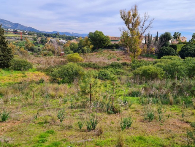 Terreno for sale in The Golden Mile, Marbella